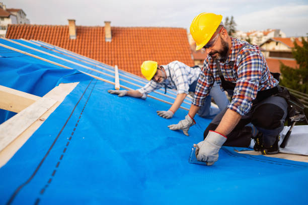 Best Metal Roofing Contractor  in Quitman, MS